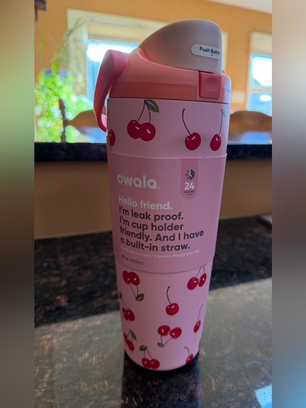 Owala FreeSip Pink Cherry Stainless Steel Bottle with Built-In Straw